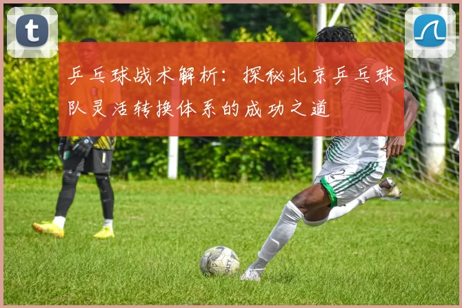 乒乓球战术解析：探秘北京乒乓球队灵活转换体系的成功之道
