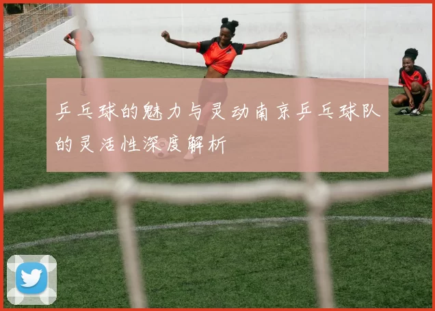 乒乓球的魅力与灵动南京乒乓球队的灵活性深度解析