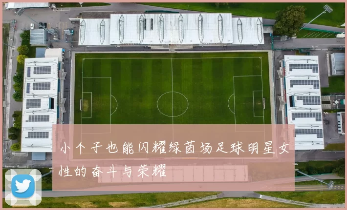 小个子也能闪耀绿茵场足球明星女性的奋斗与荣耀