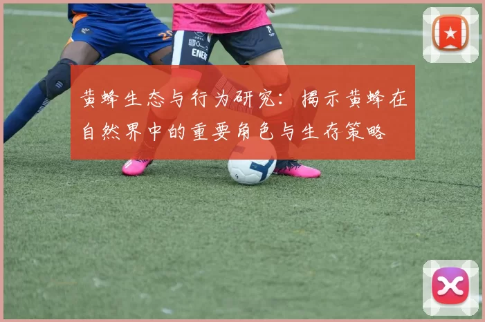 黄蜂生态与行为研究：揭示黄蜂在自然界中的重要角色与生存策略