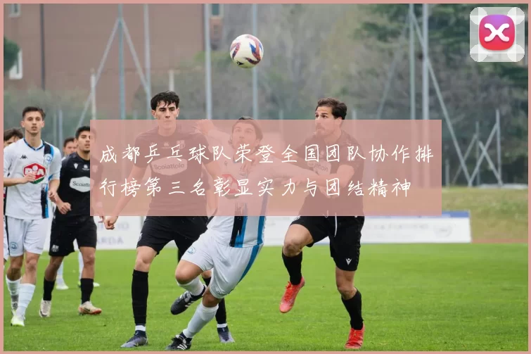 成都乒乓球队荣登全国团队协作排行榜第三名彰显实力与团结精神