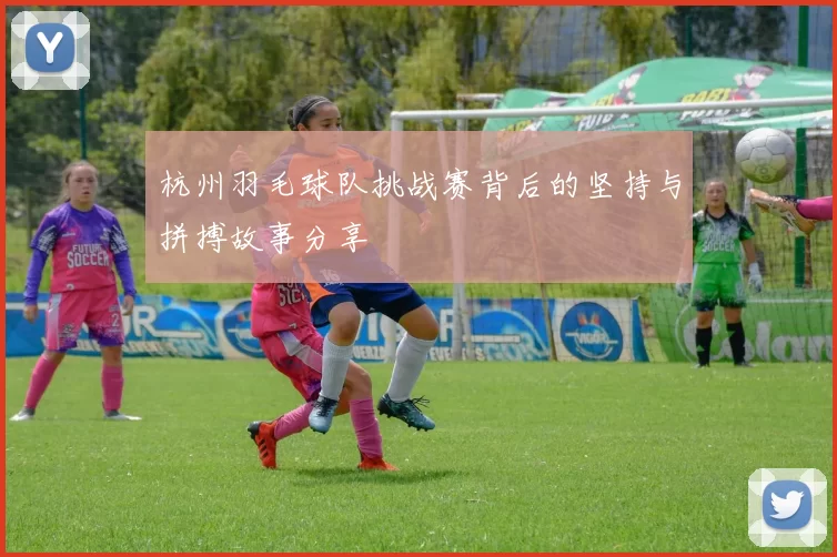 杭州羽毛球队挑战赛背后的坚持与拼搏故事分享
