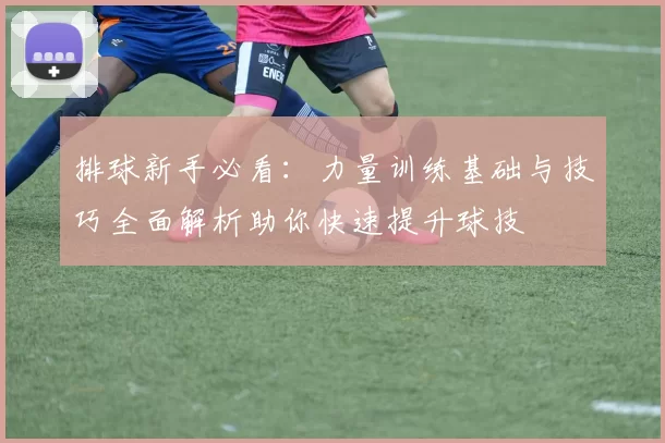 排球新手必看：力量训练基础与技巧全面解析助你快速提升球技