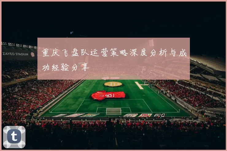 重庆飞盘队运营策略深度分析与成功经验分享