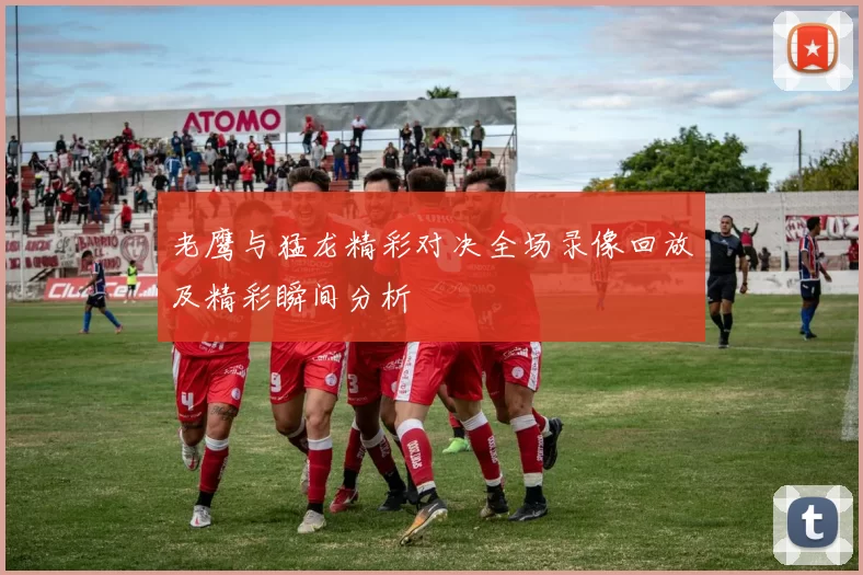 老鹰与猛龙精彩对决全场录像回放及精彩瞬间分析